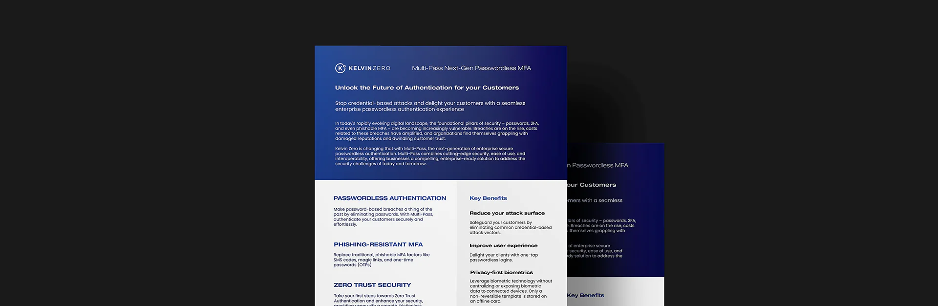 Multi-Pass Passwordless Customer Solution Brief
