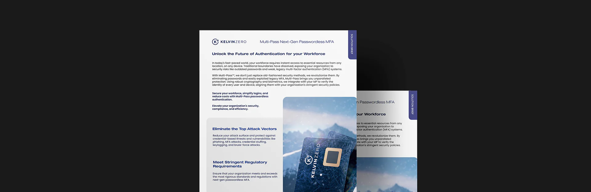 Multi-Pass Passwordless Workforce Solution Brief