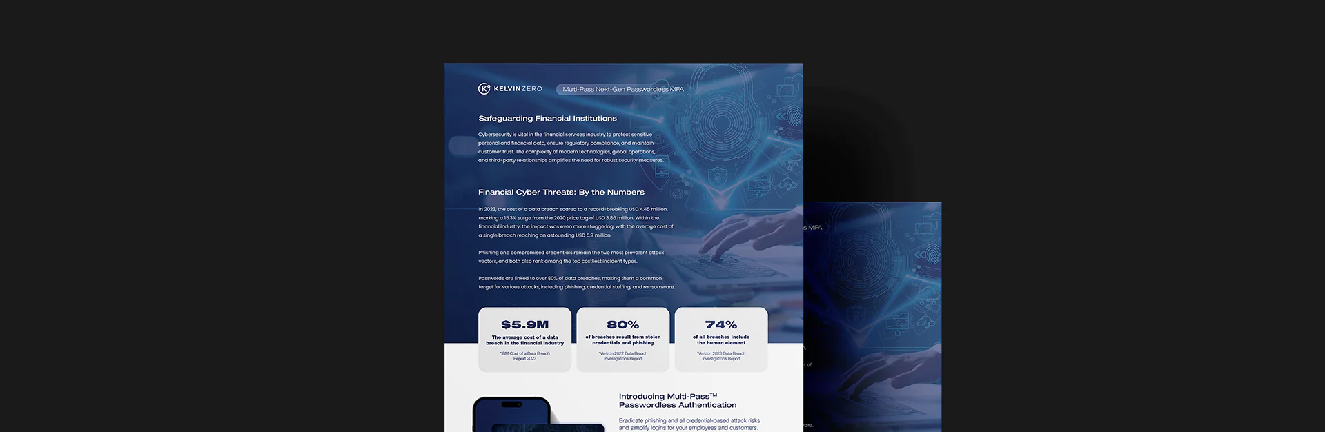 Safeguarding Financial Institutions - Industry Data Sheet